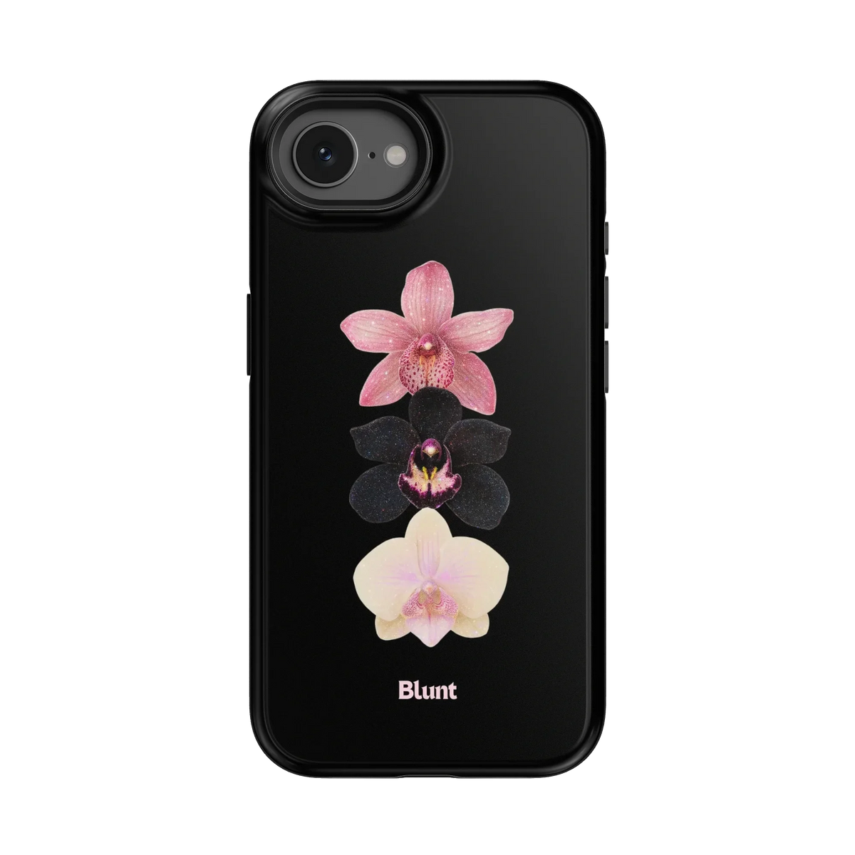 Raven iPhone Case