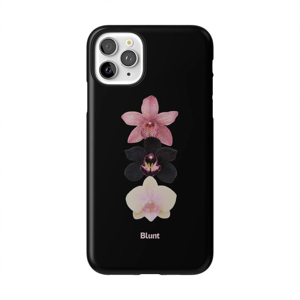 Raven iPhone Case