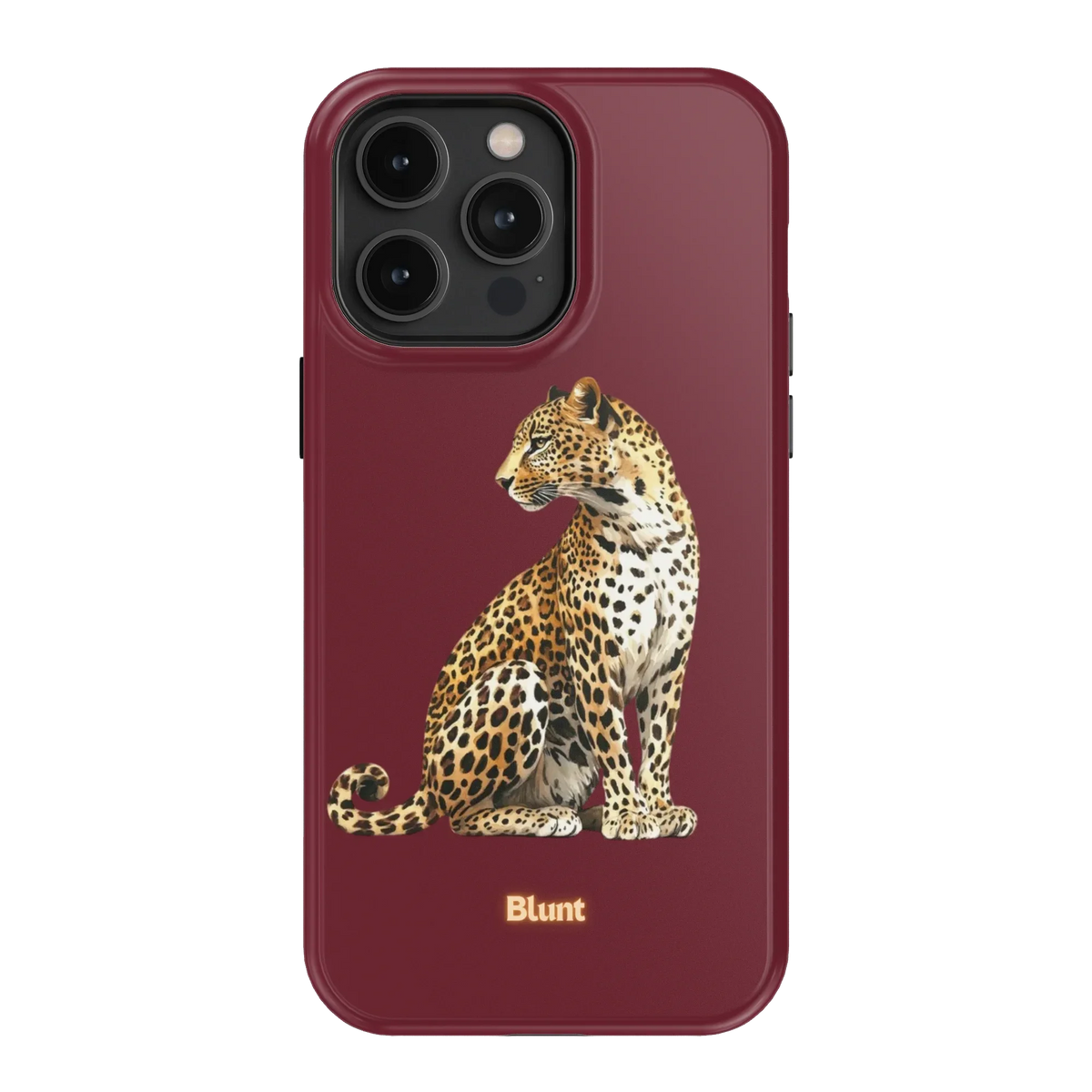 Keyari iPhone Case