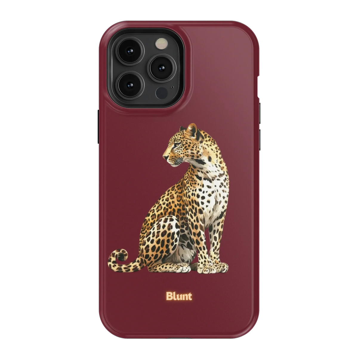 Keyari iPhone Case