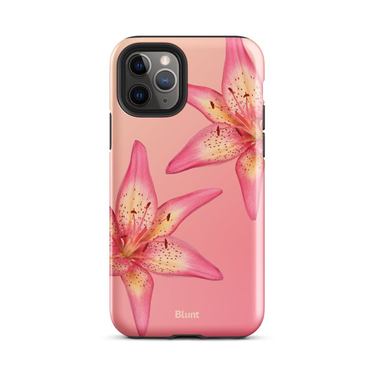 Hibiscus iPhone Case