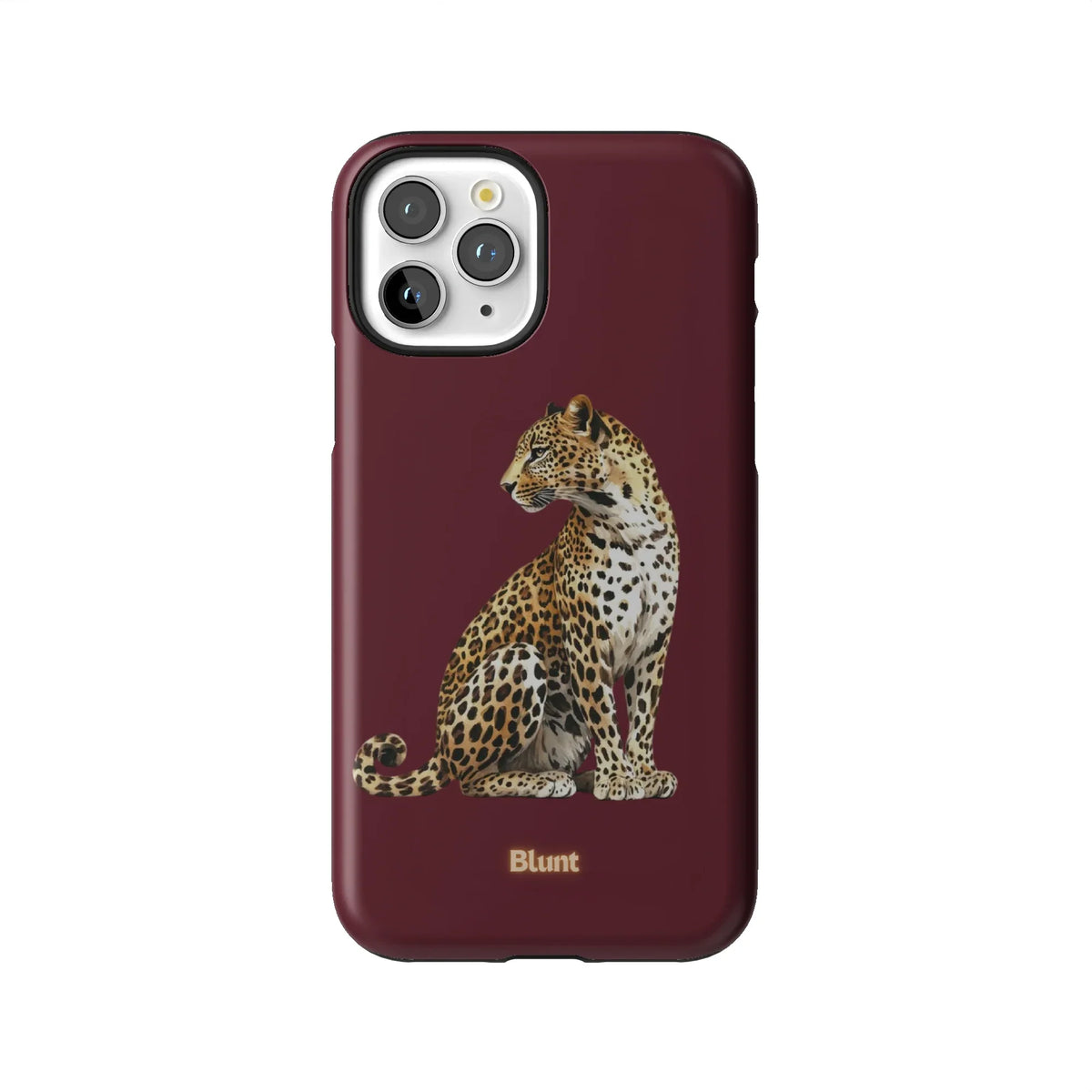 Keyari iPhone Case