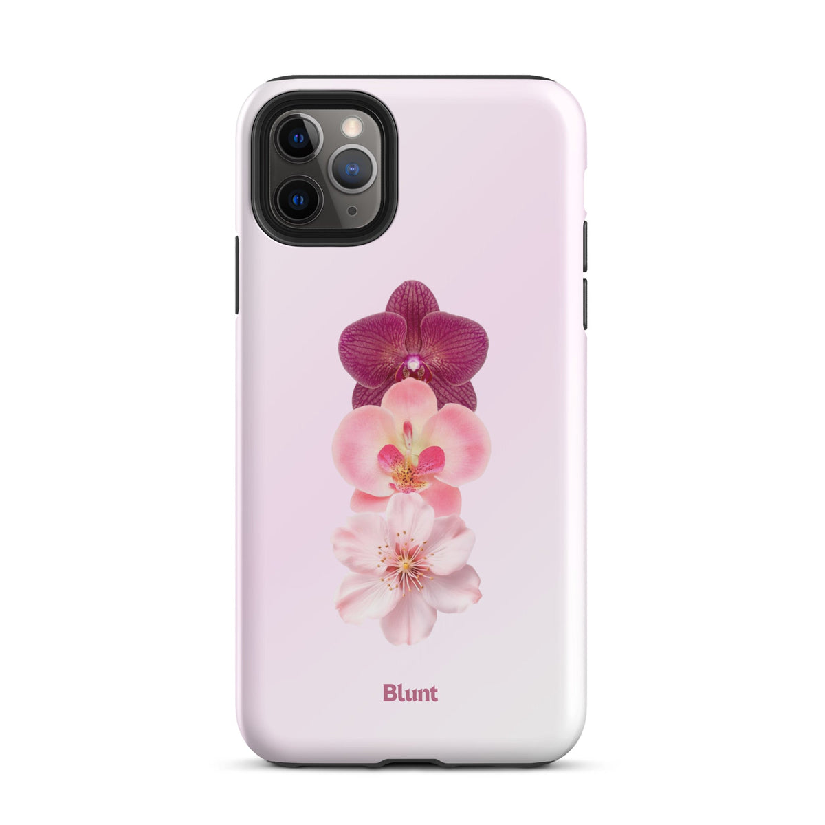 Muse iPhone Case