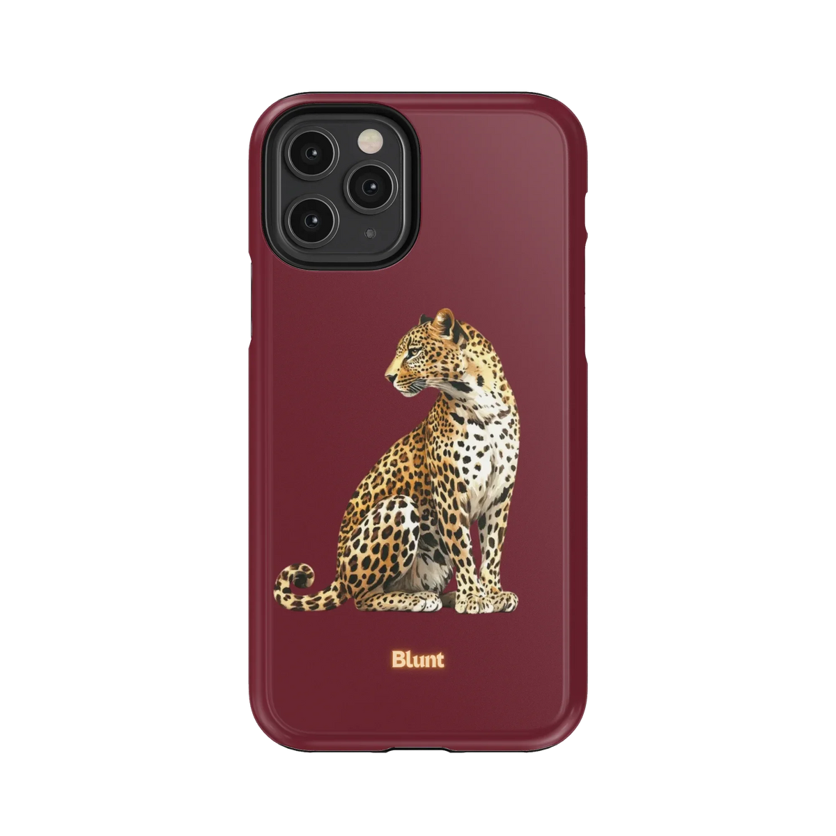 Keyari iPhone Case
