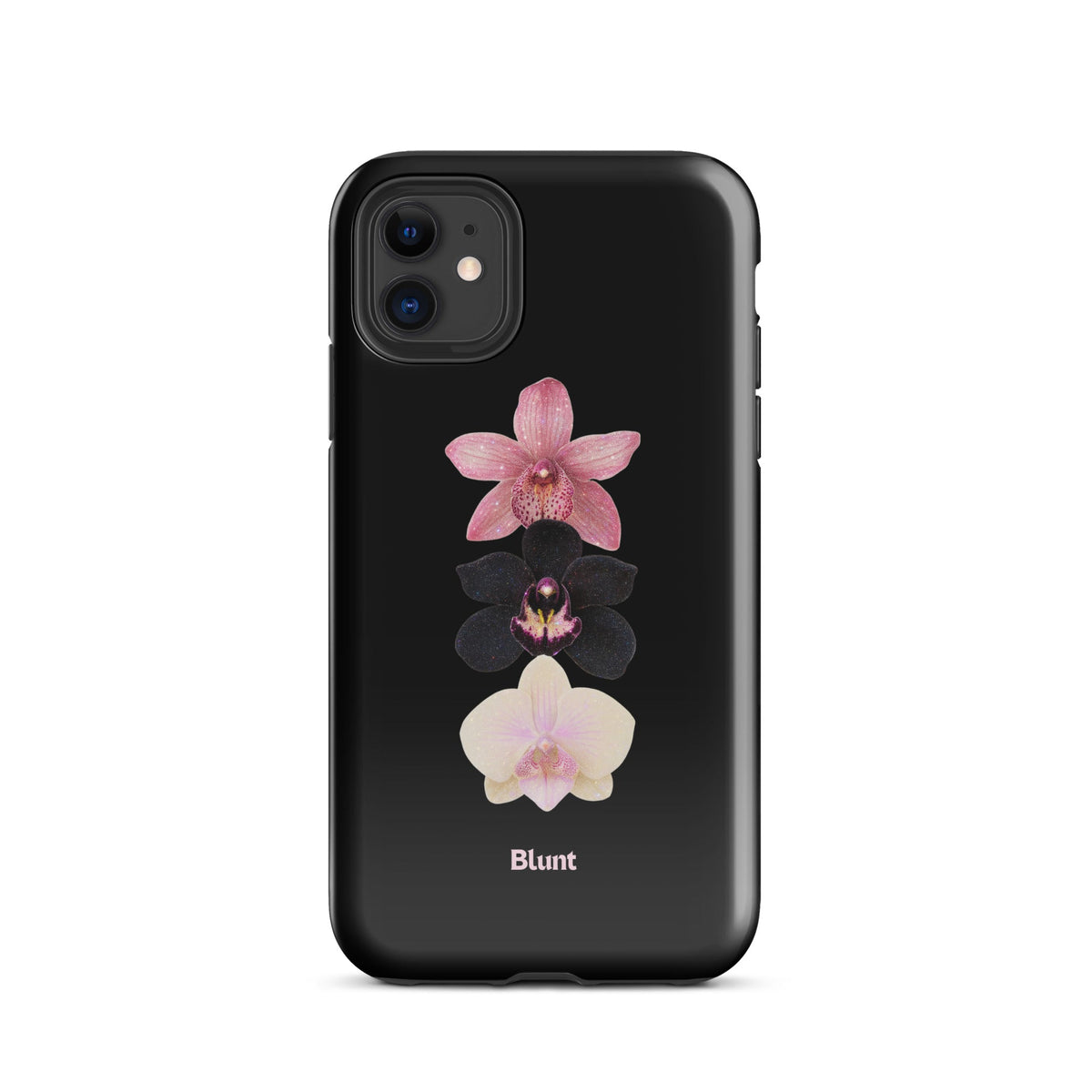 Raven iPhone Case