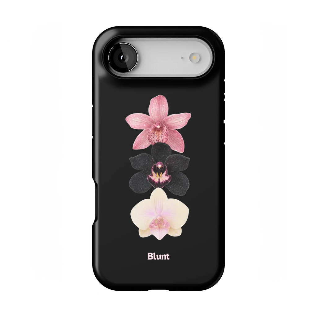 Raven iPhone Case