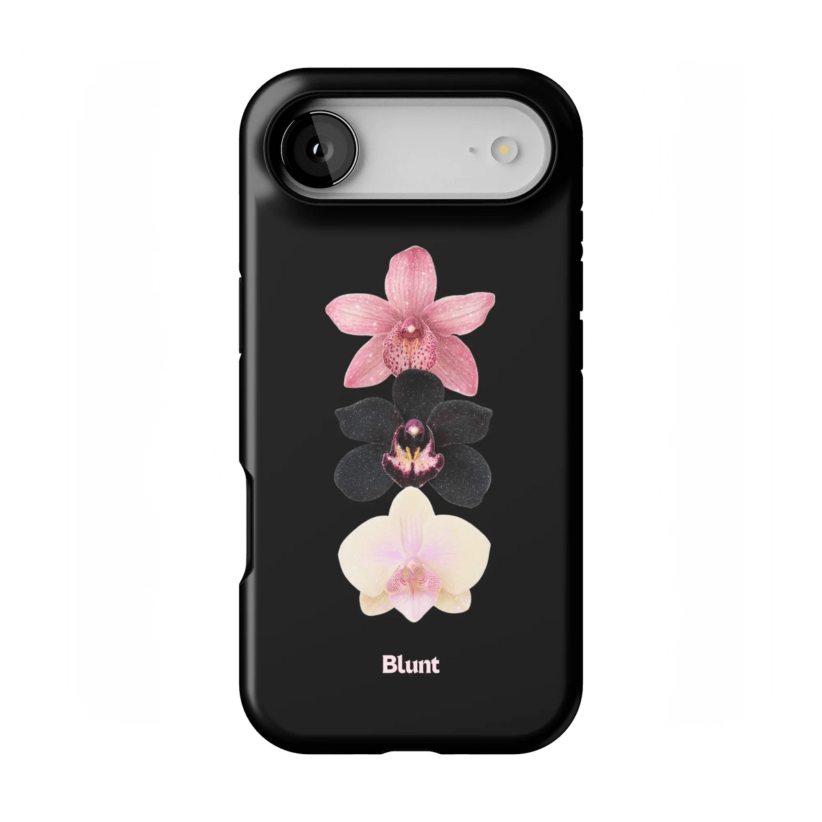 Raven iPhone Case