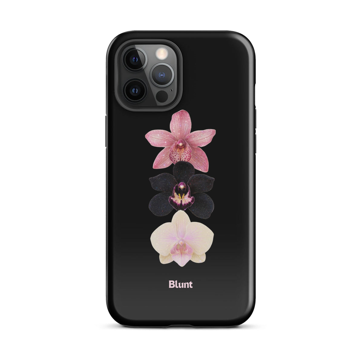 Raven iPhone Case