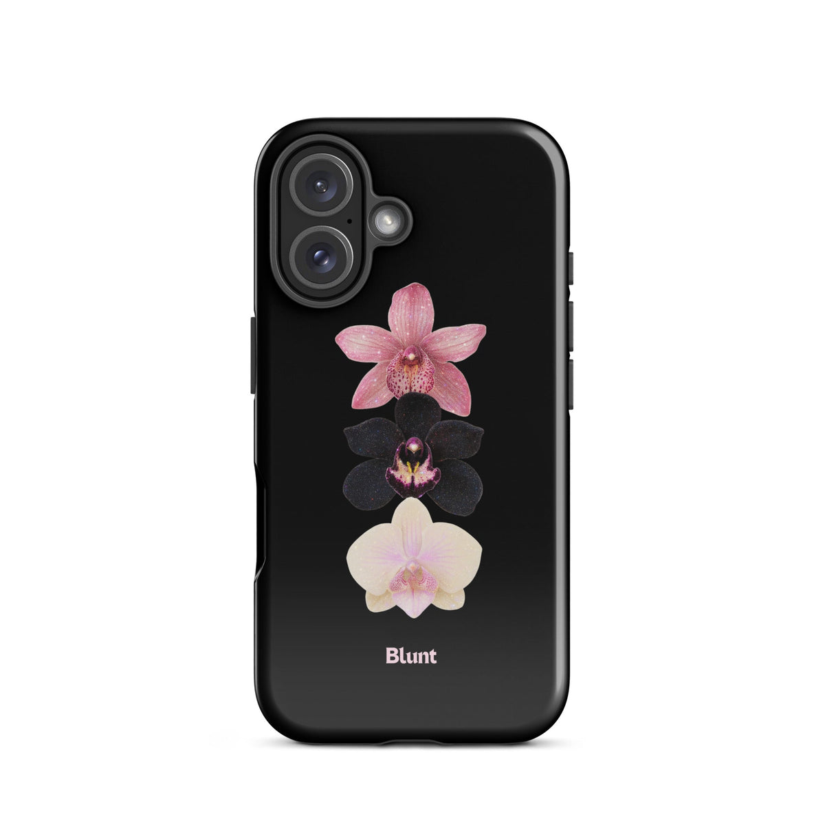 Raven iPhone Case