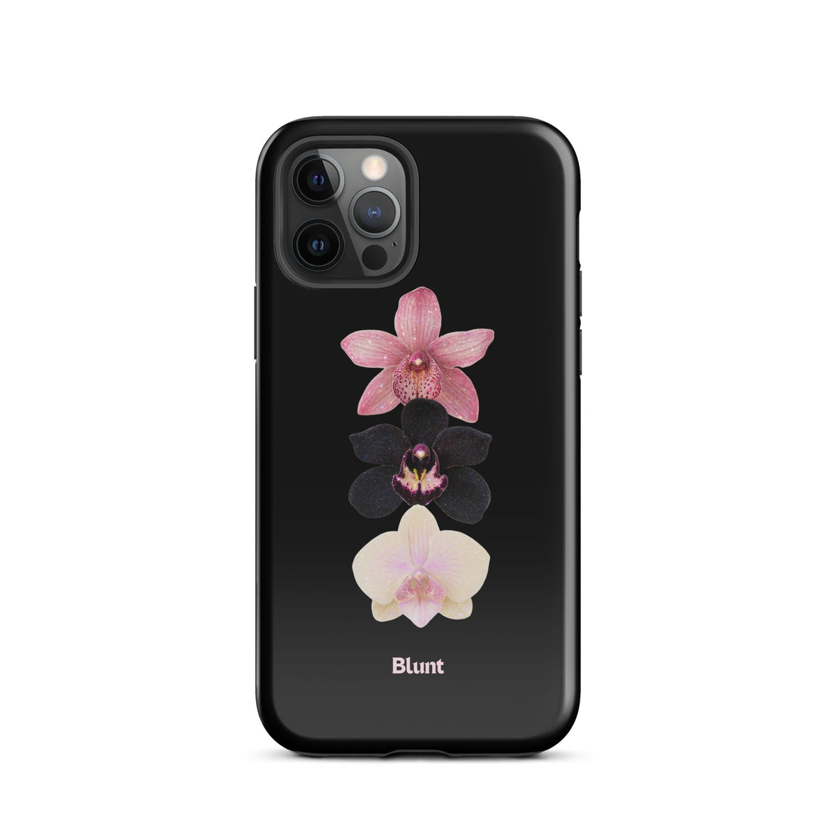 Raven iPhone Case