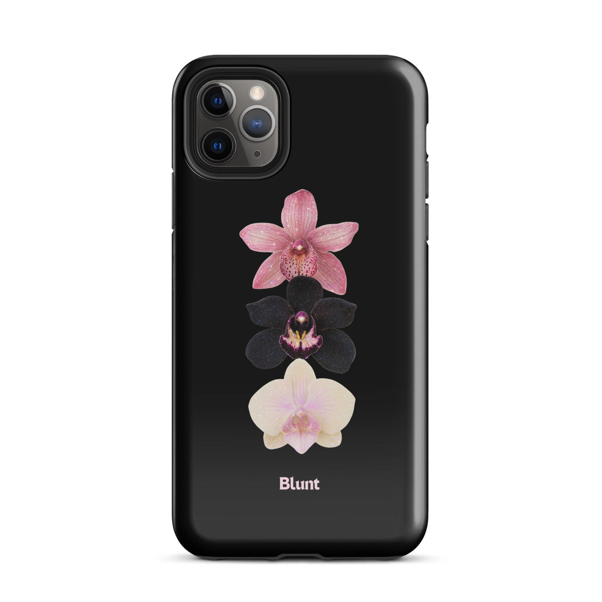 Raven iPhone Case