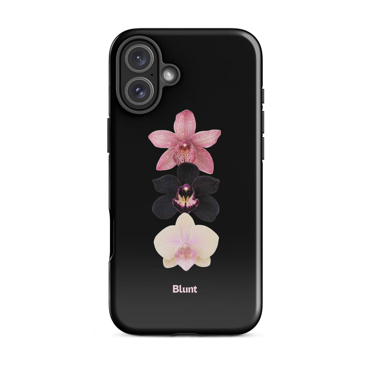 Raven iPhone Case