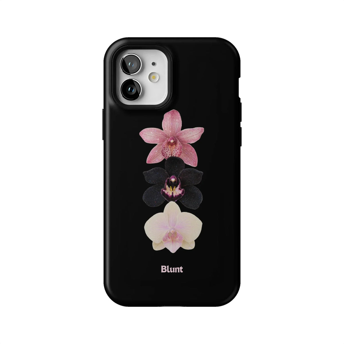 Raven iPhone Case