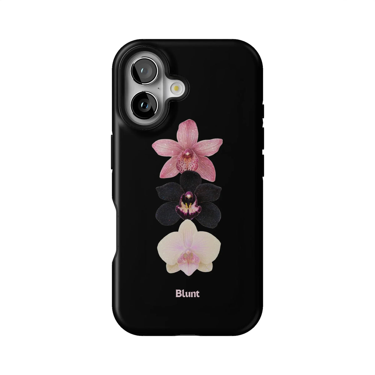 Raven iPhone Case