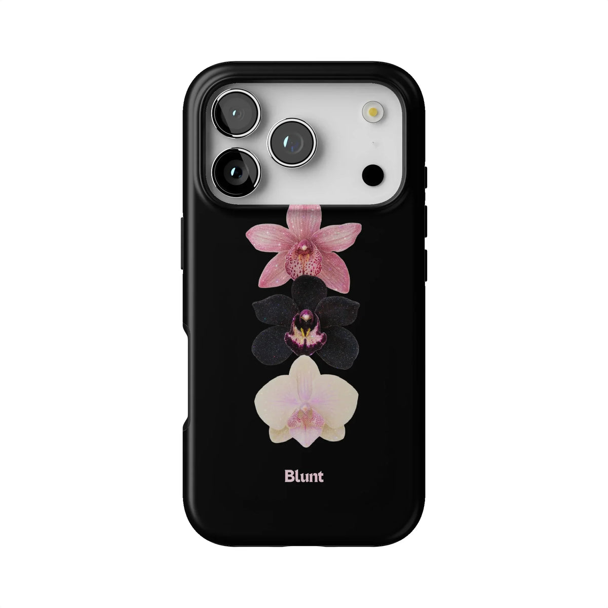 Raven iPhone Case