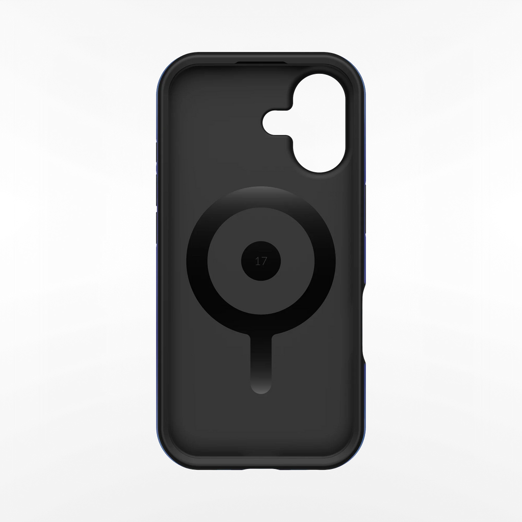 Blueberry iPhone Case
