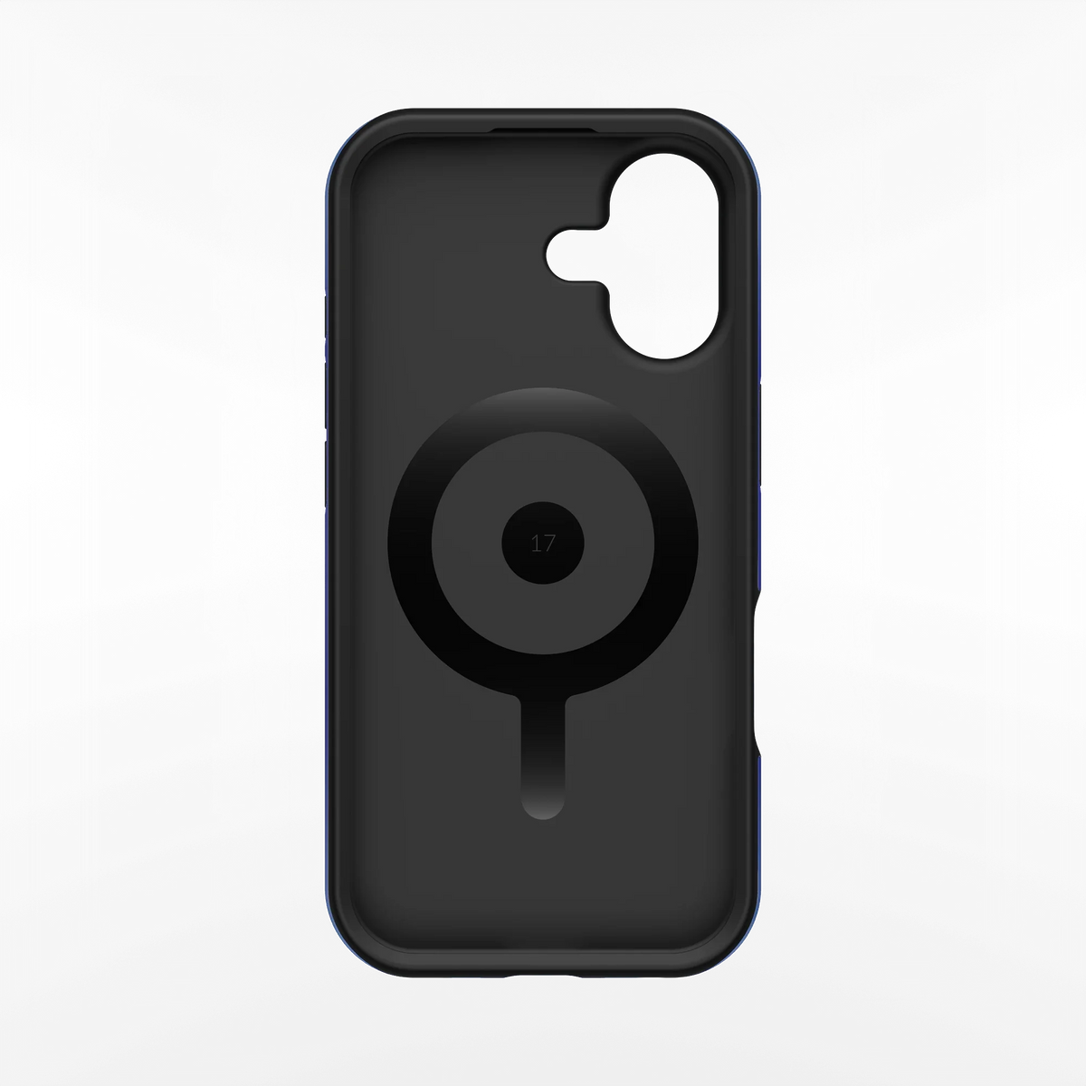 Blueberry iPhone Case