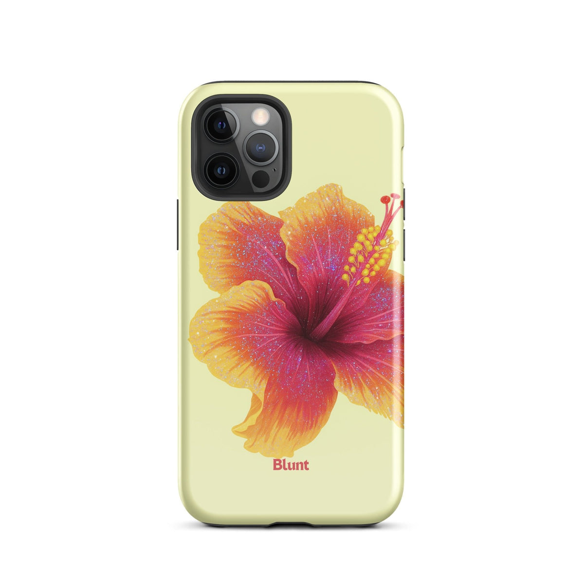 Summer Crush iPhone Case
