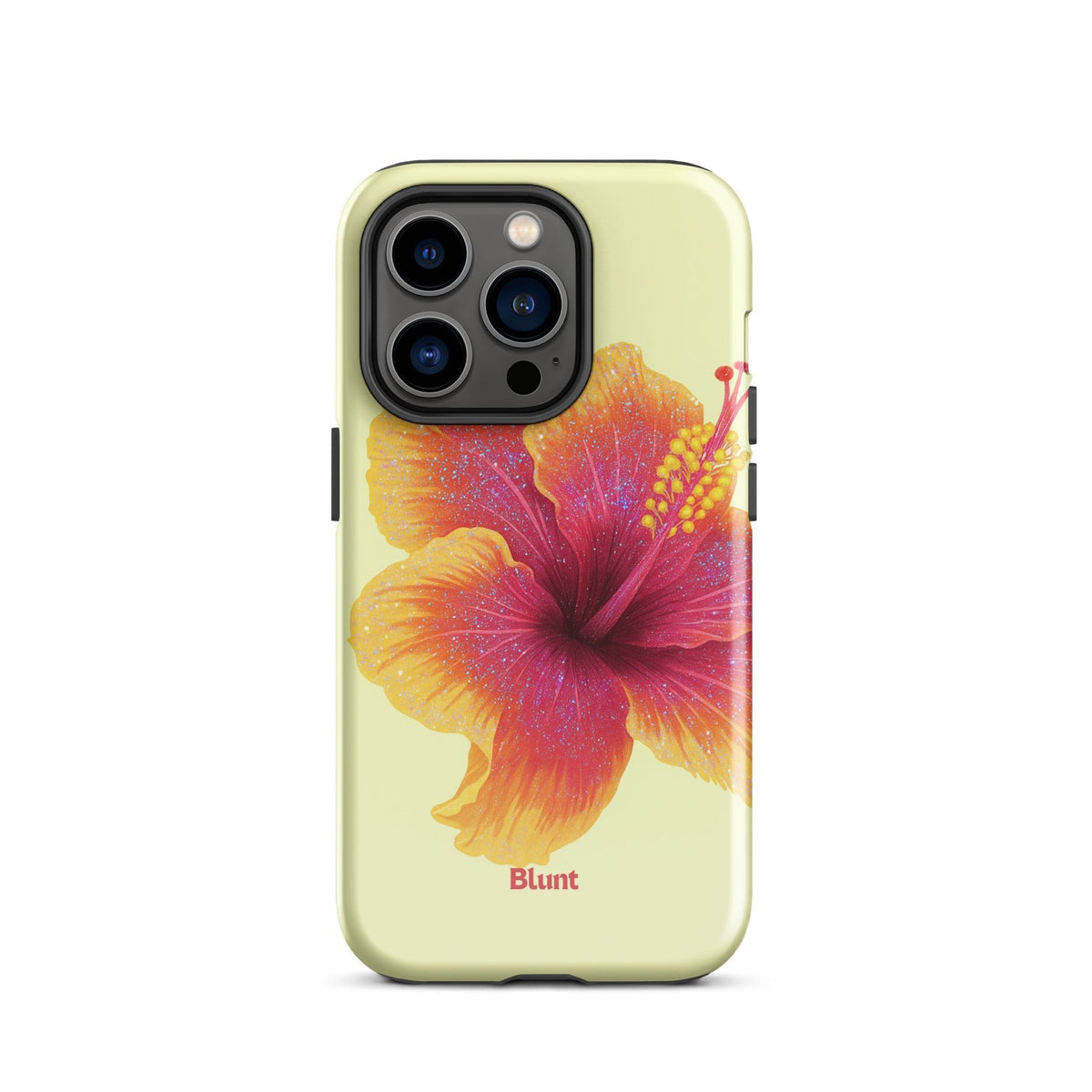 Summer Crush iPhone Case