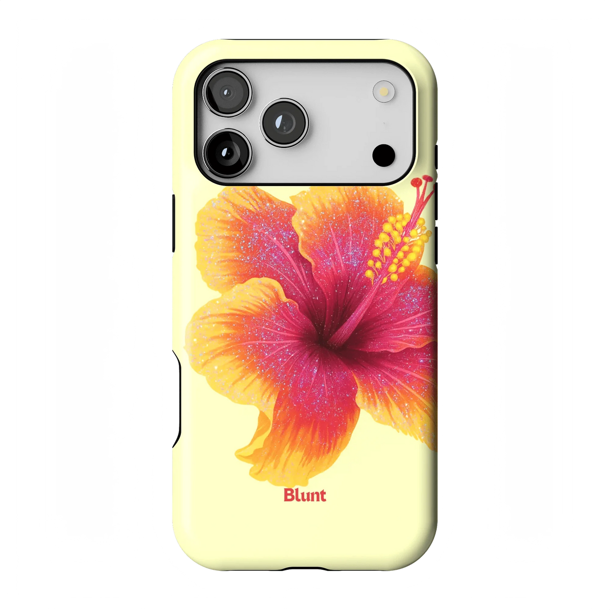 Summer Crush iPhone Case