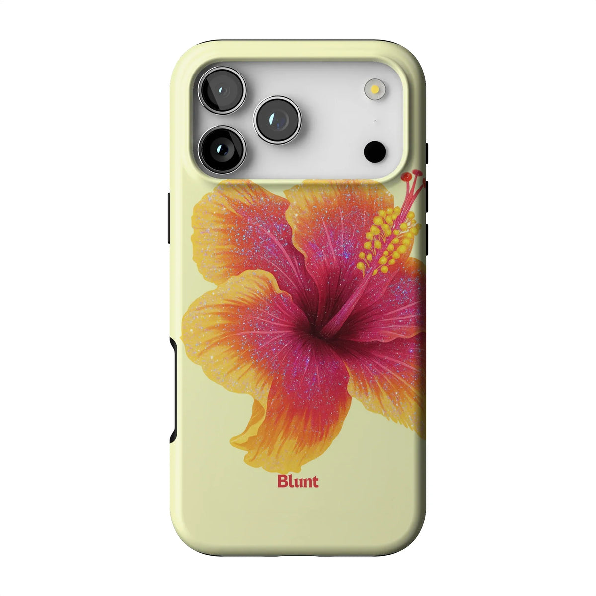 Summer Crush iPhone Case