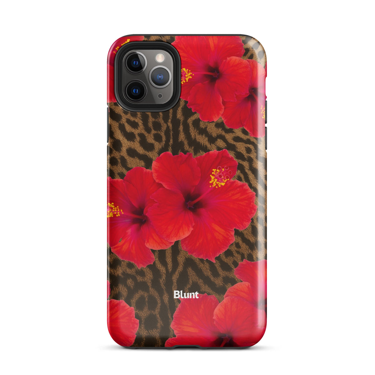 Sunset iPhone Case