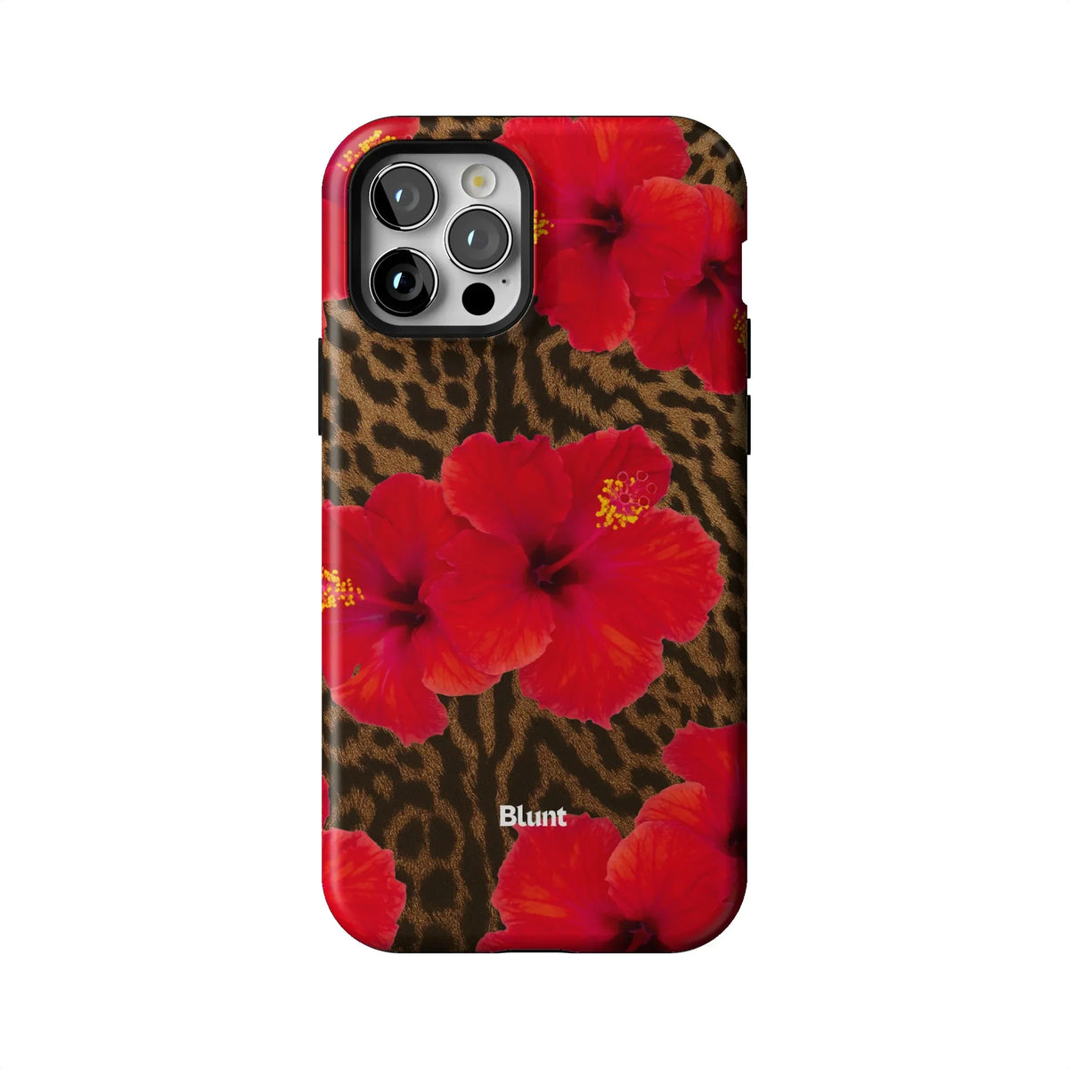 Sunset iPhone Case