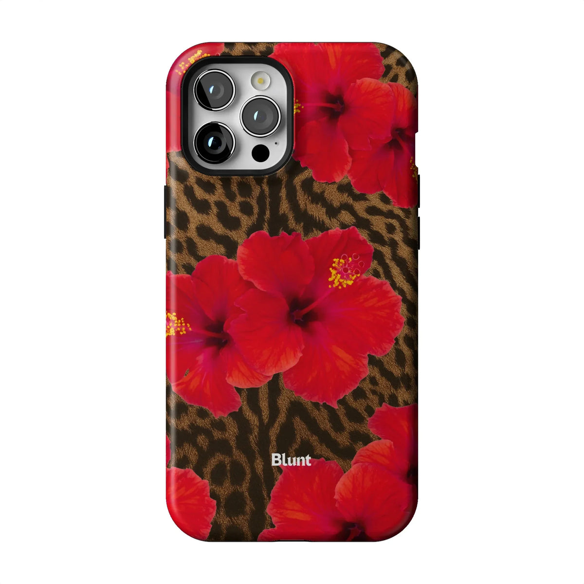 Sunset iPhone Case