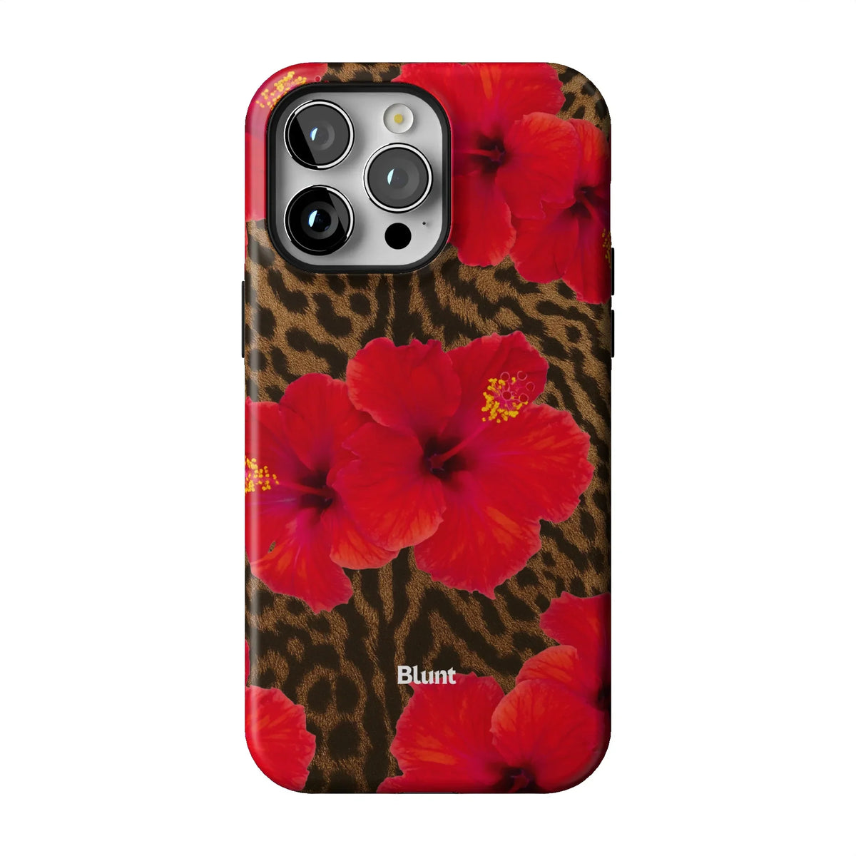 Sunset iPhone Case