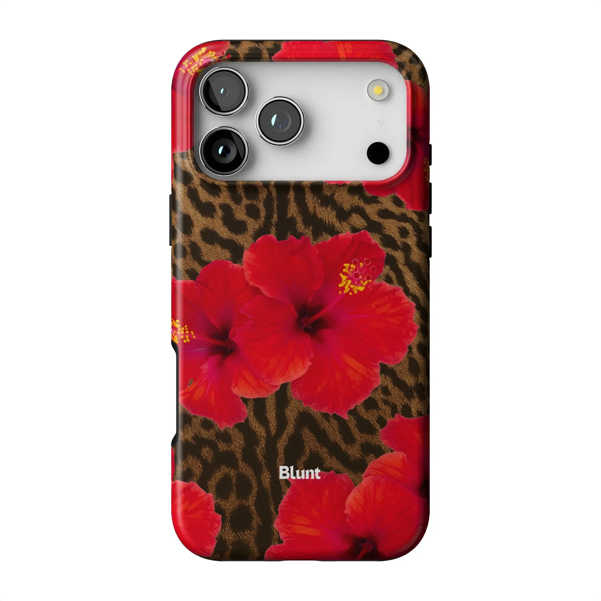 Sunset iPhone Case