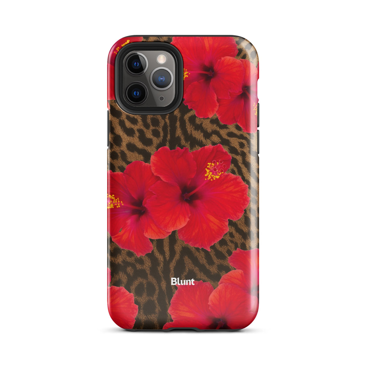 Sunset iPhone Case