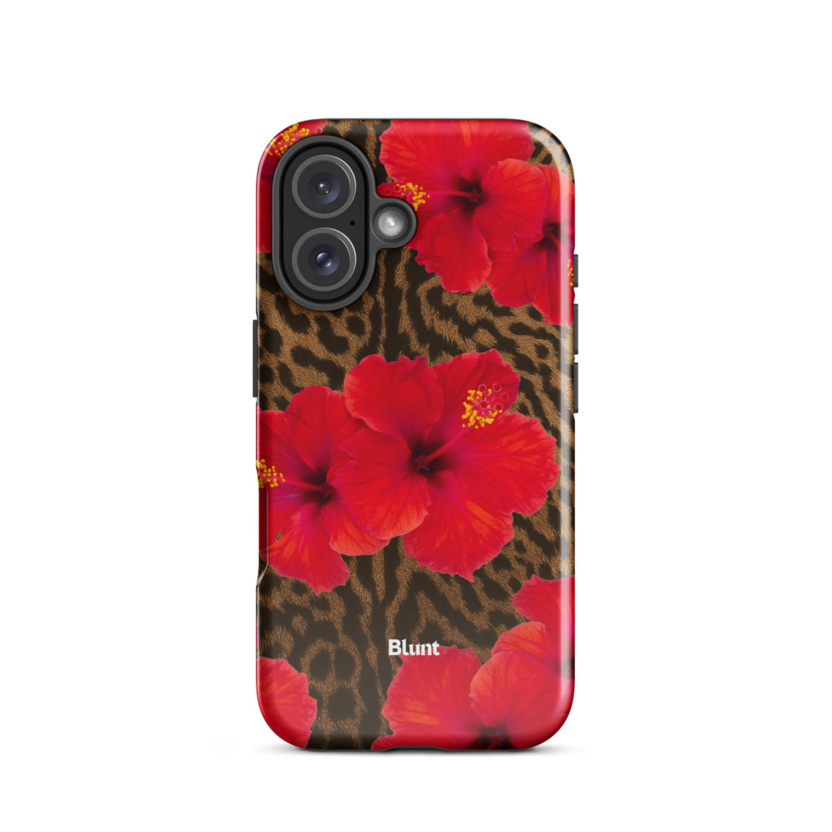 Sunset iPhone Case