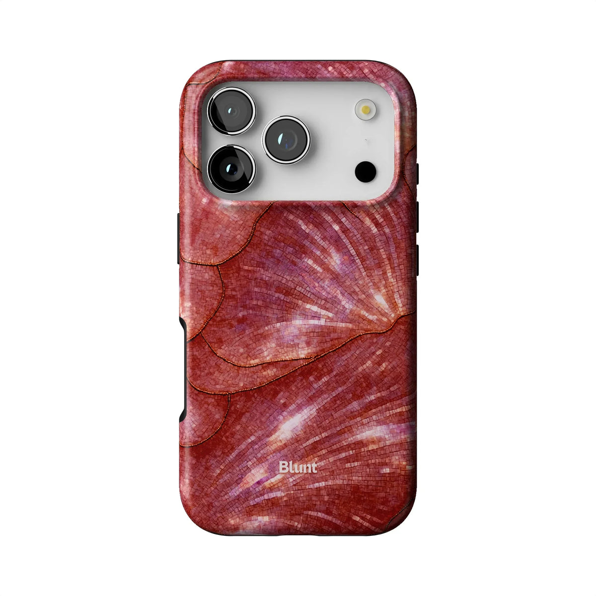Sunset Petal iPhone Case