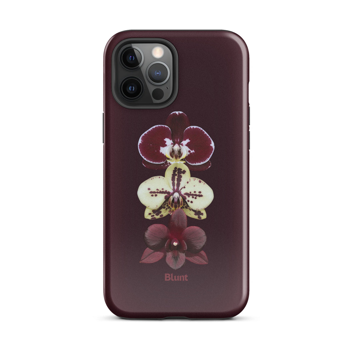 Tameya iPhone Case